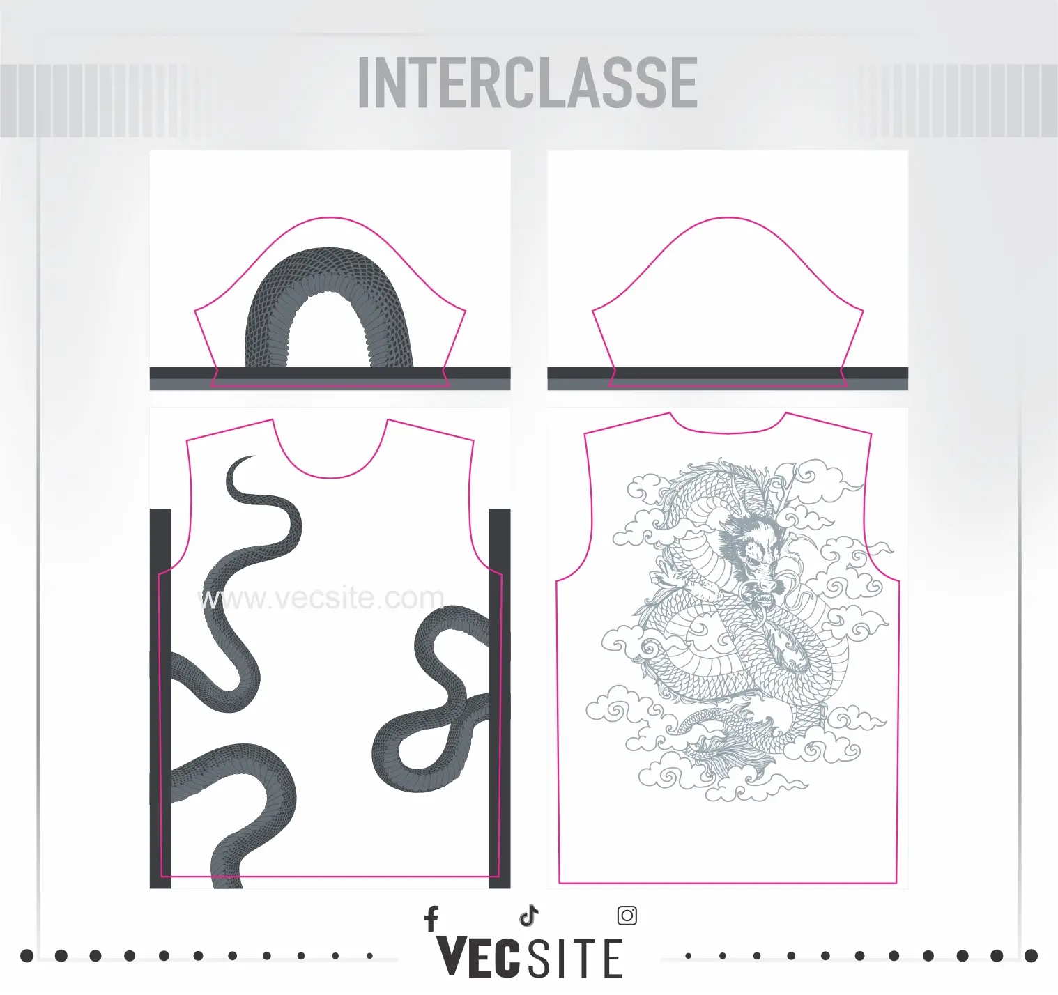 snake deisng interclasse