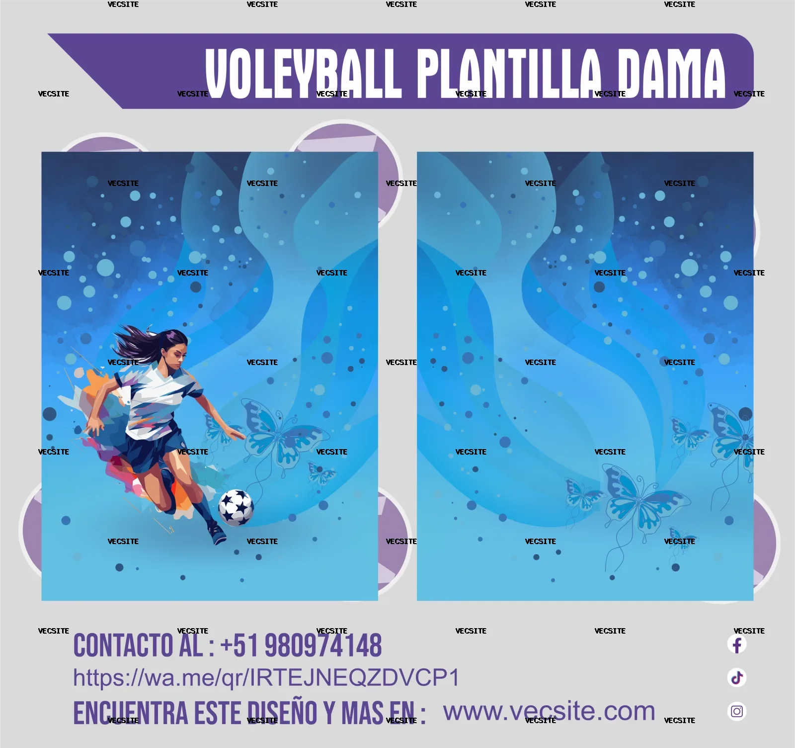 VOLEYBALL PLANTILLA FEMENINA VECSITE