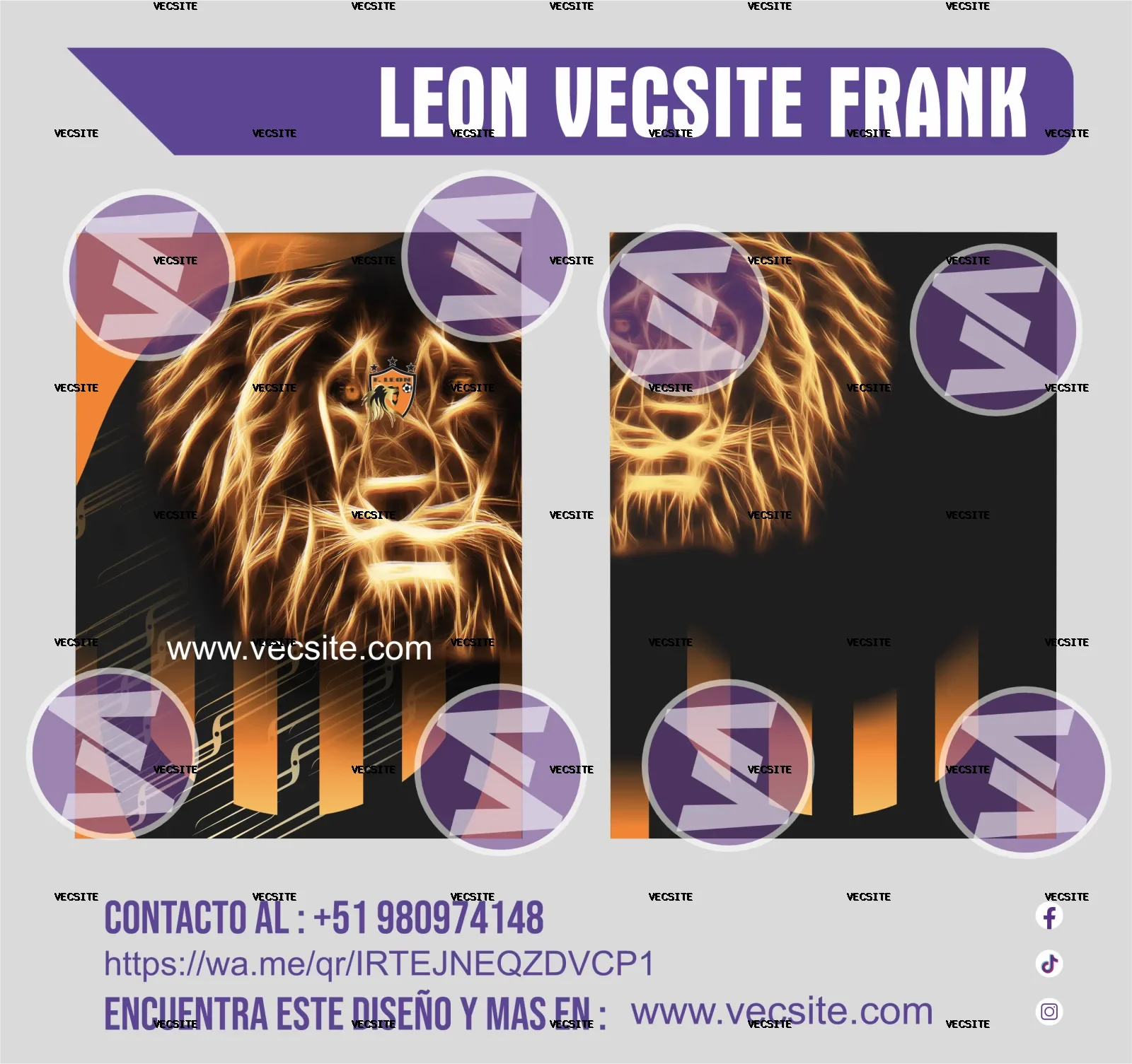 LEÓN VECSITE FRANK SPORT