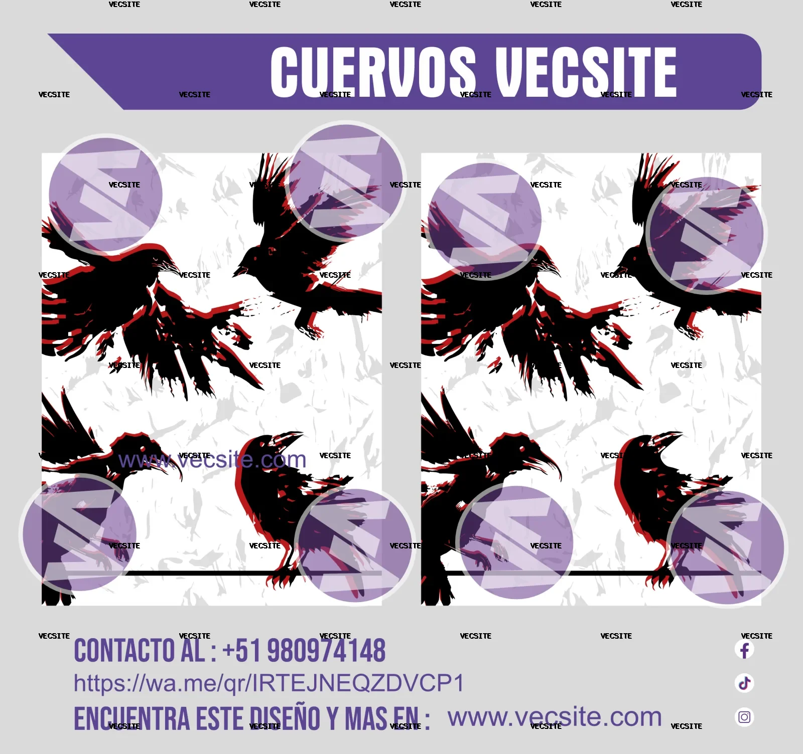 cuervo vecsite