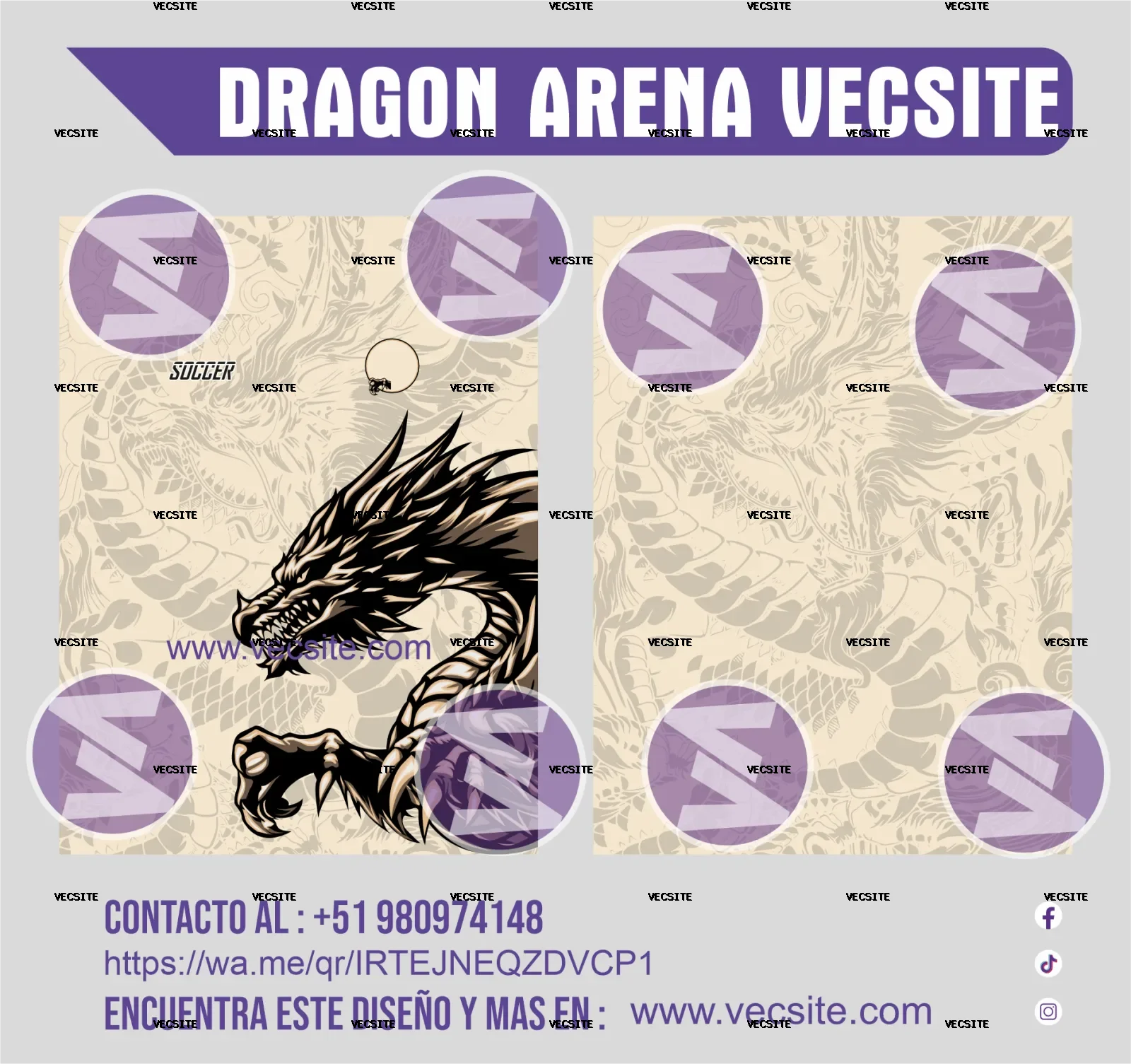 dragon arena vecsite