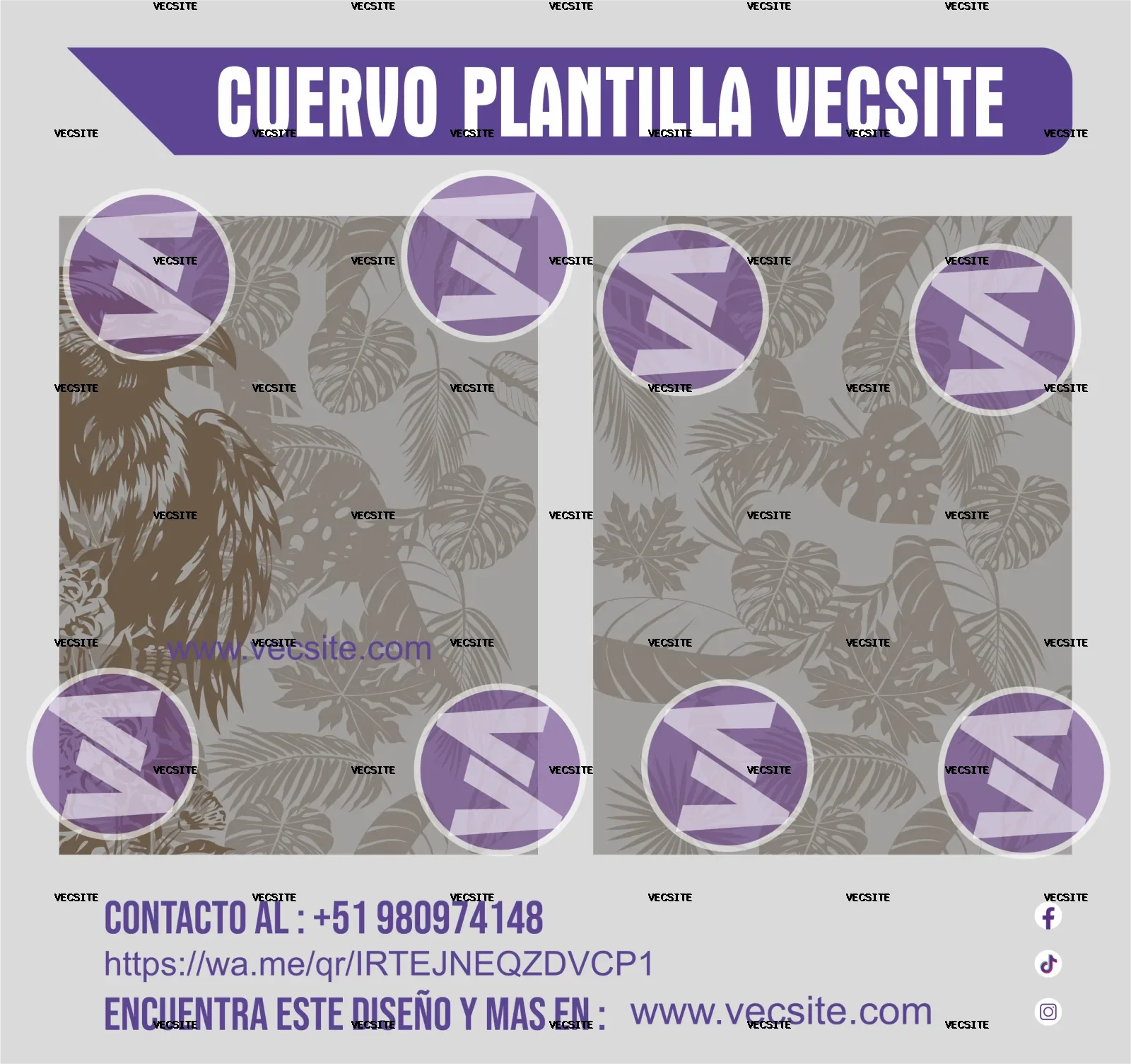 cuervo plantilla vecsite