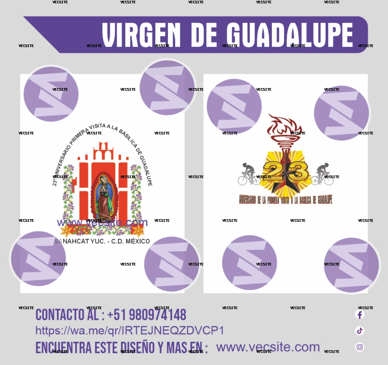 virgen de guadalupe