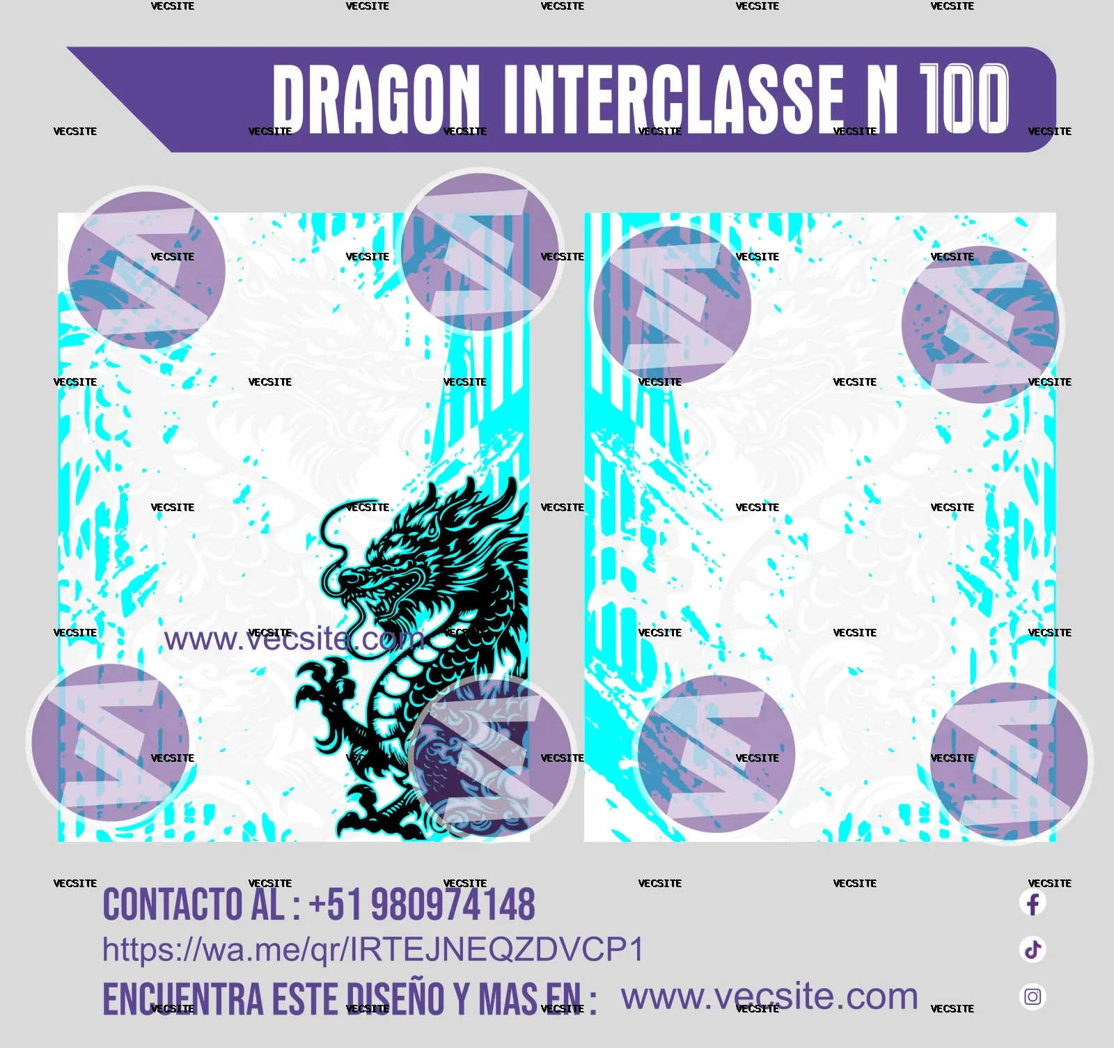 DRAGON INTERCLASSE N 100