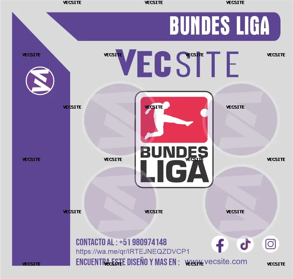 BUNDES LIGA ETIQUETA PARCHE