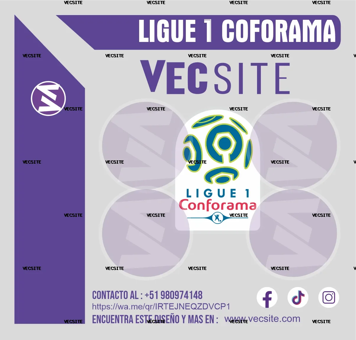 ligue 1 coforama