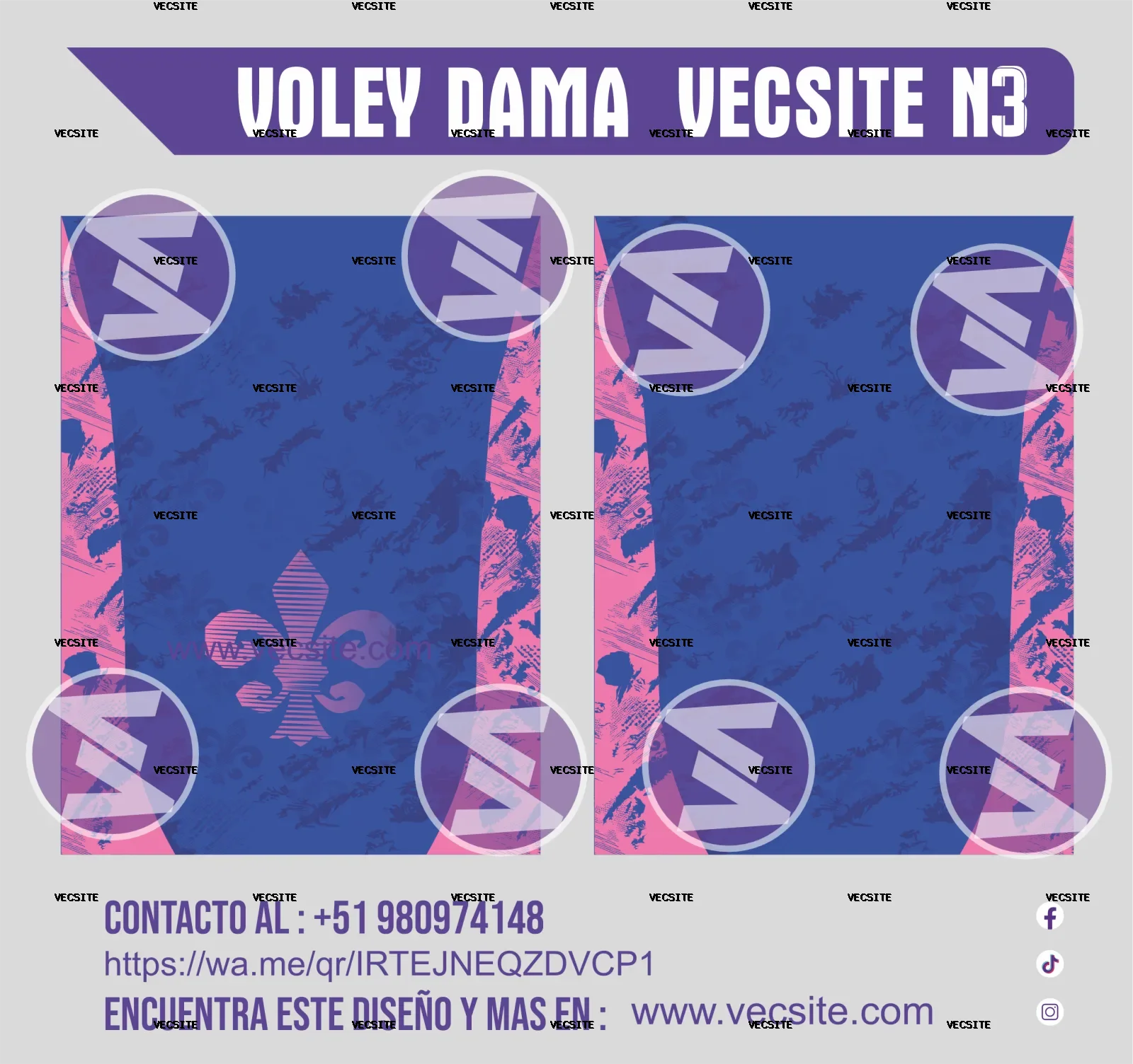 dama voley vecsite n3