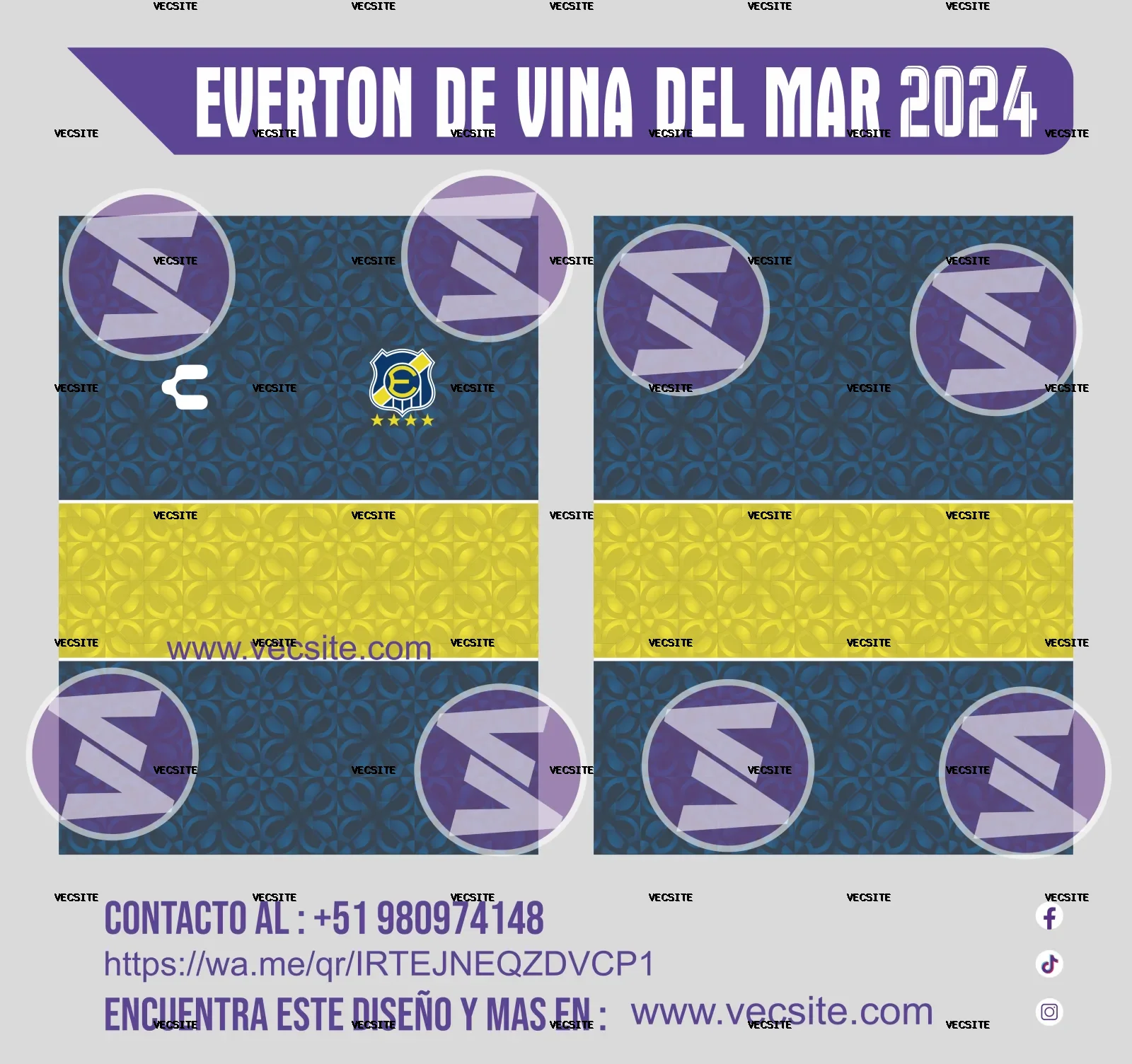 everton viña del mar 2024