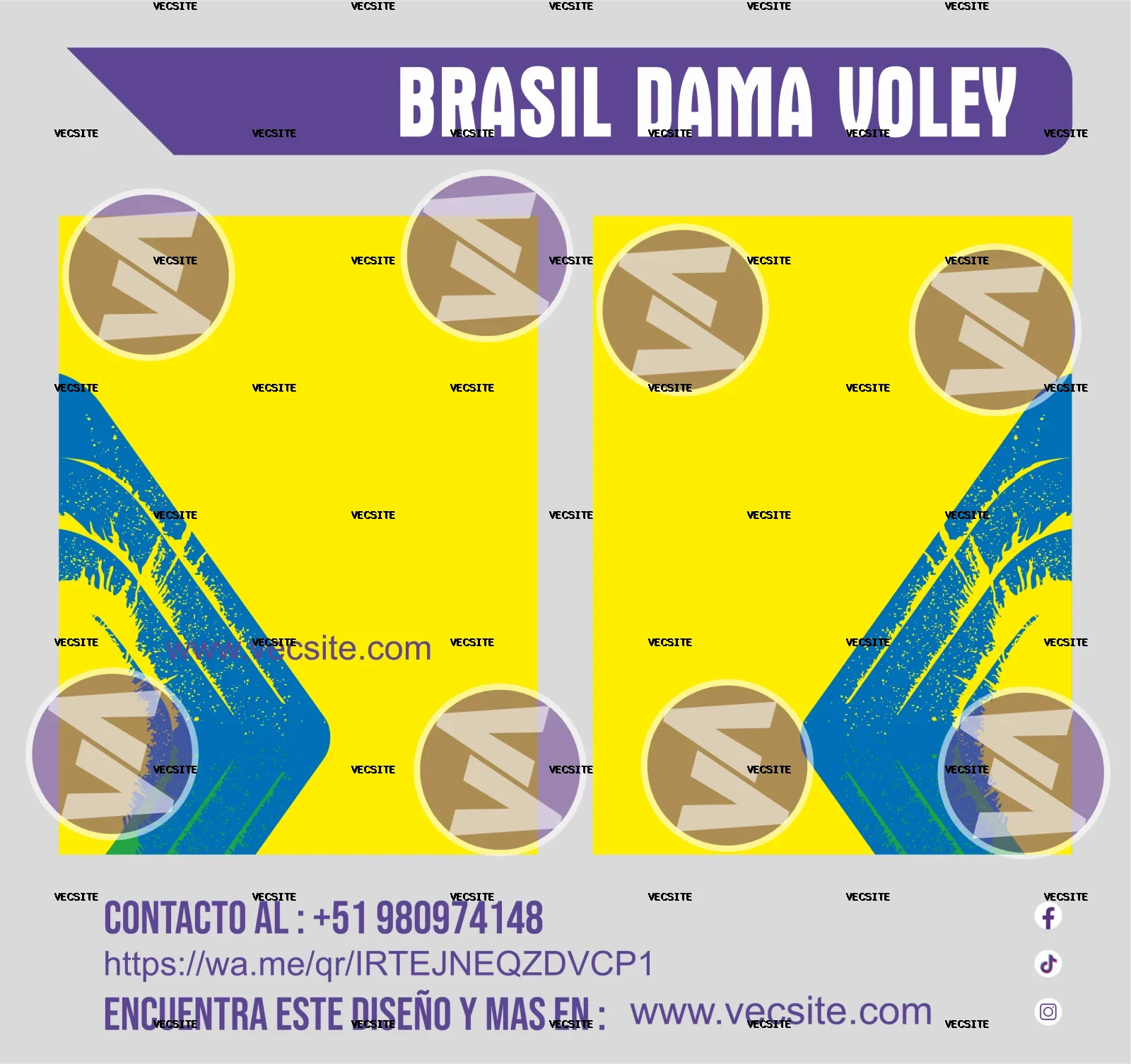 brasil dama voley