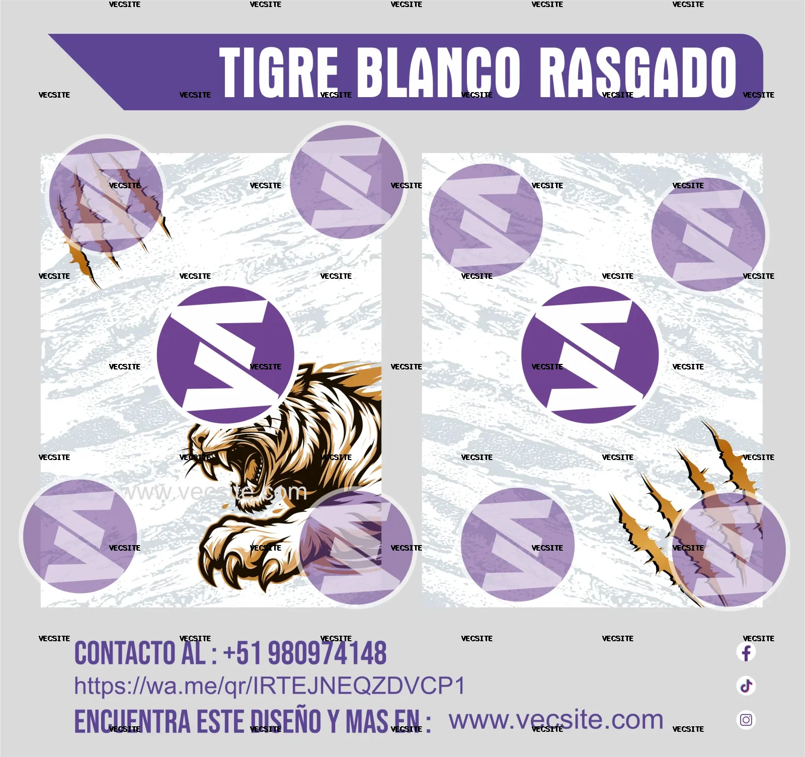 TIGRE BLANCO RASGADO
