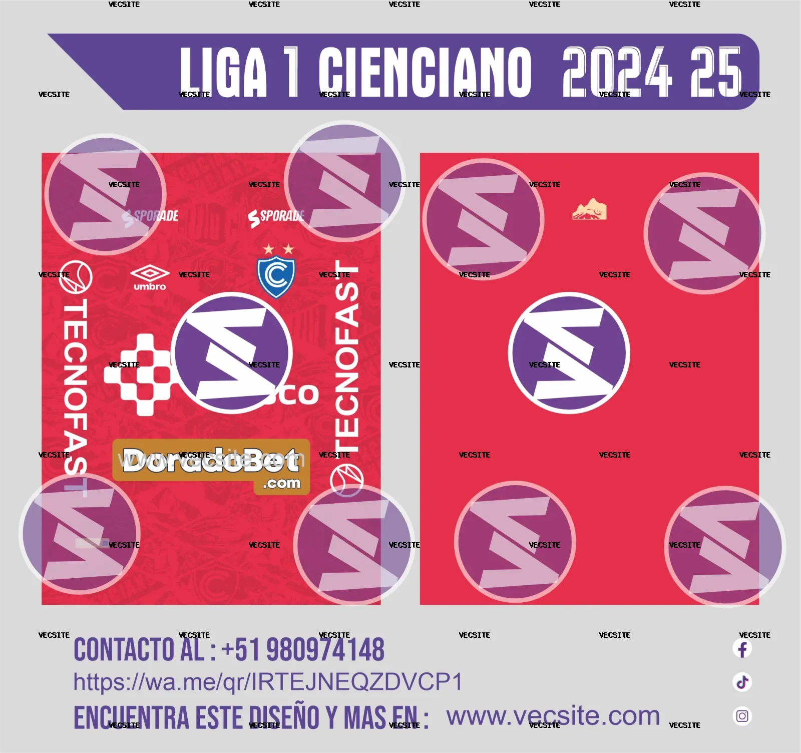 liga 1 cienciano 2024 25
