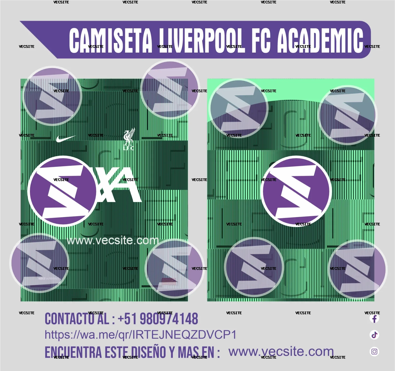 Camiseta Academy Pro Liverpool