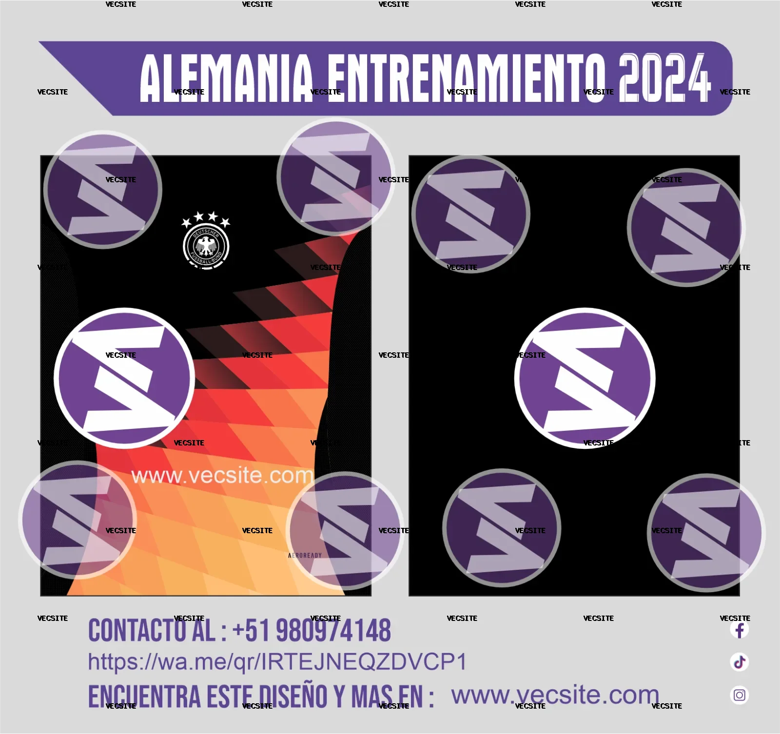 alemania entrenamiento 2024