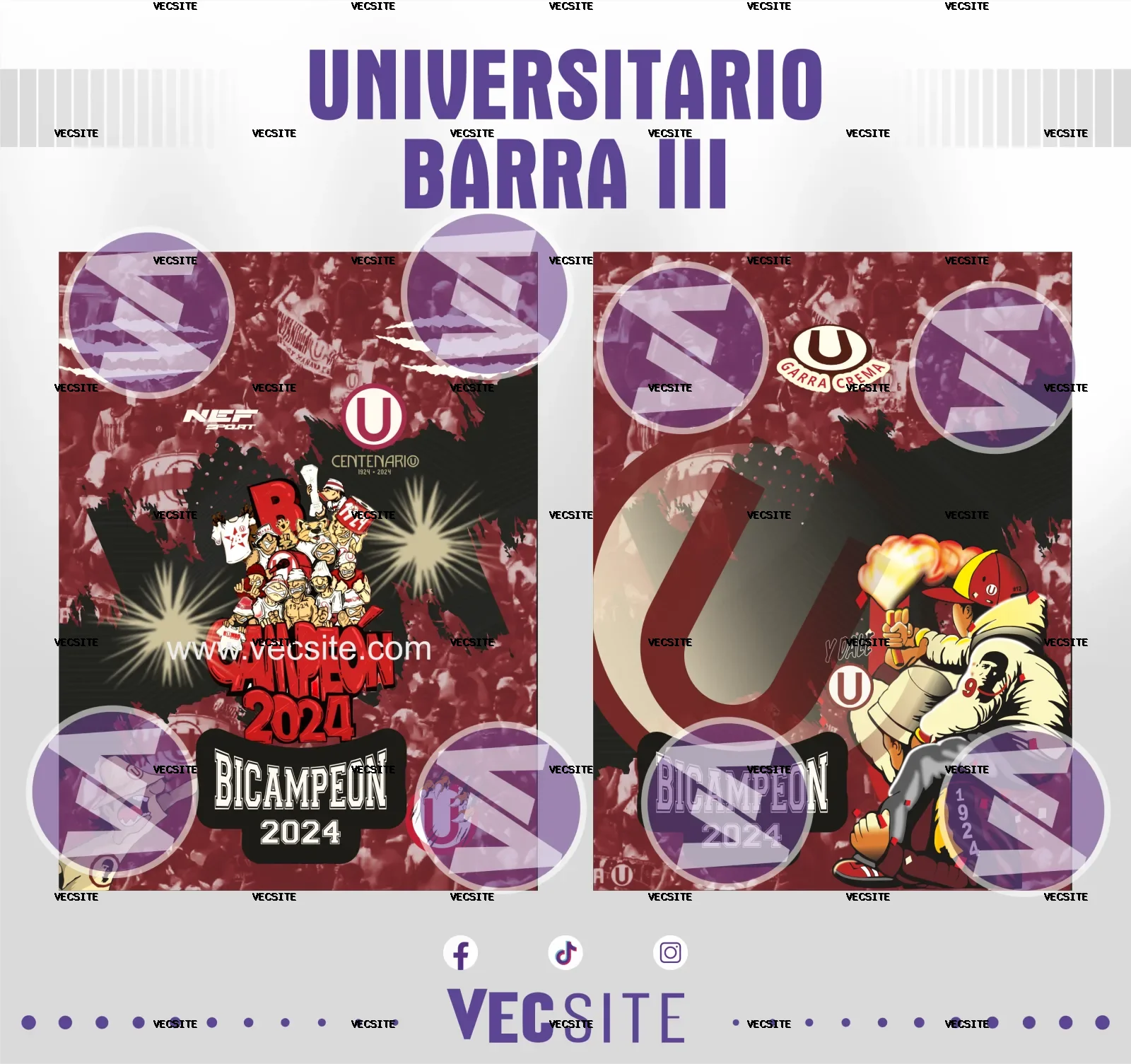 UNIVERSITARIO BARRA III