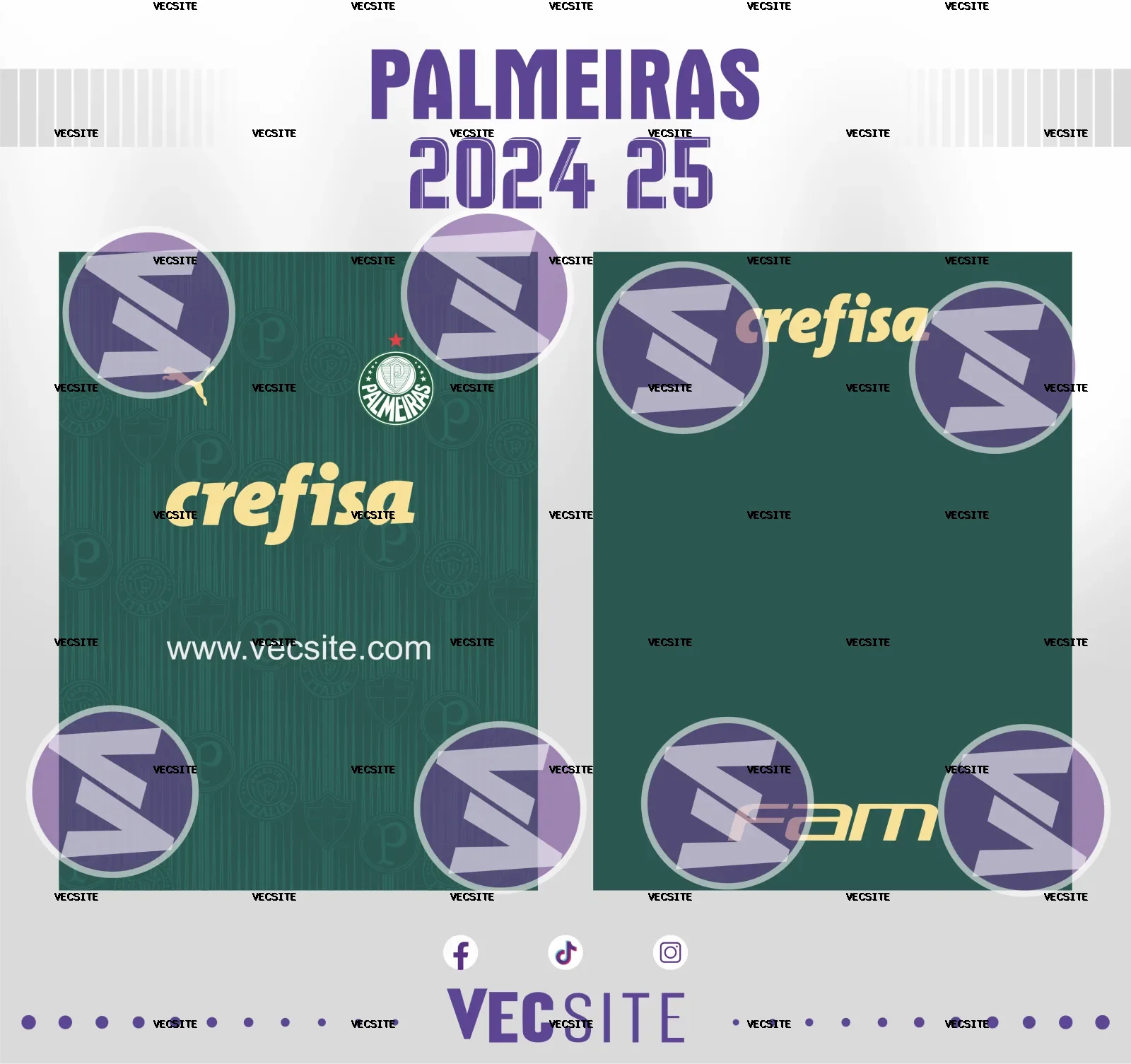 PALMEIRAS 2024 25