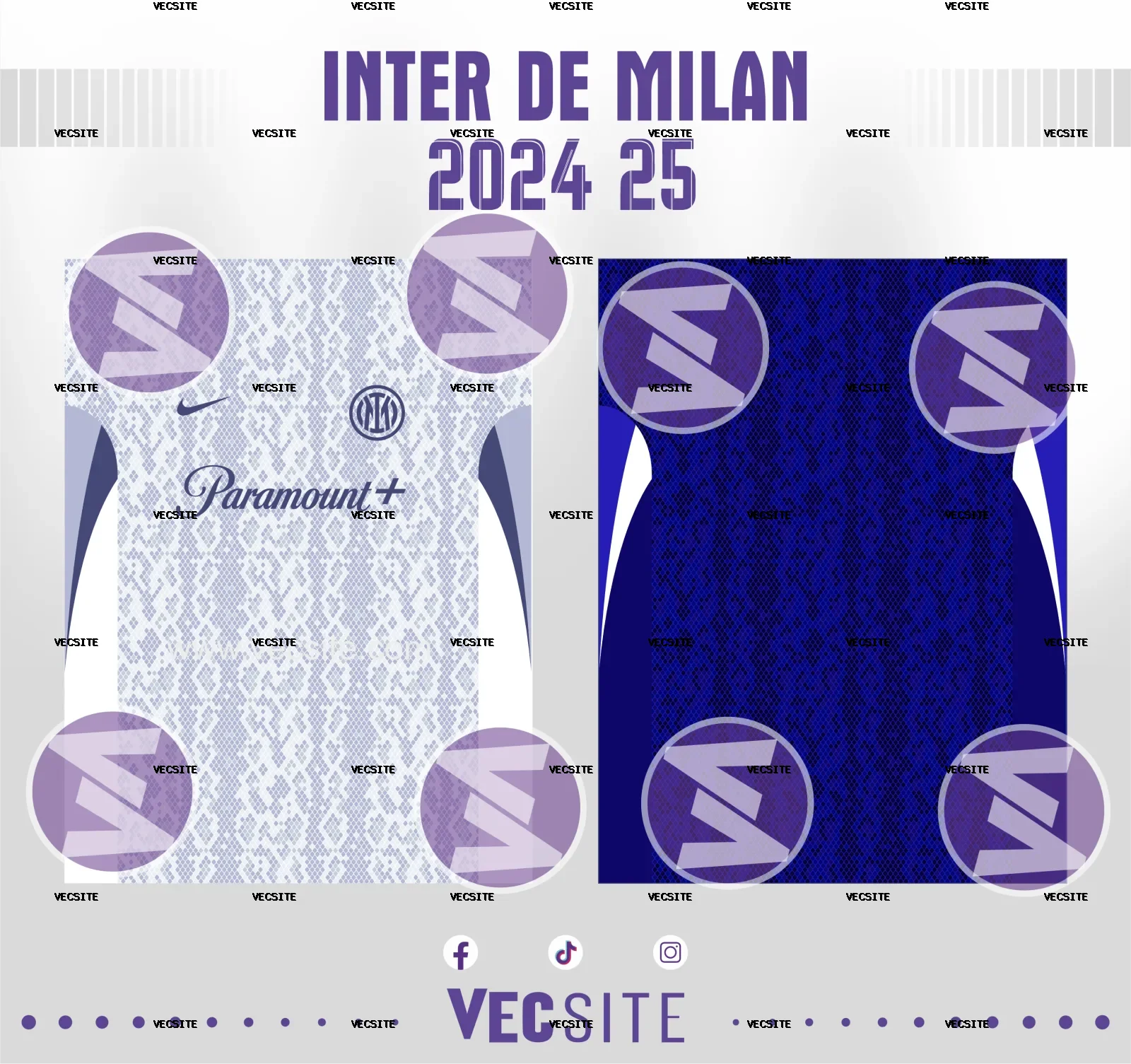 inter de milan 2024 25