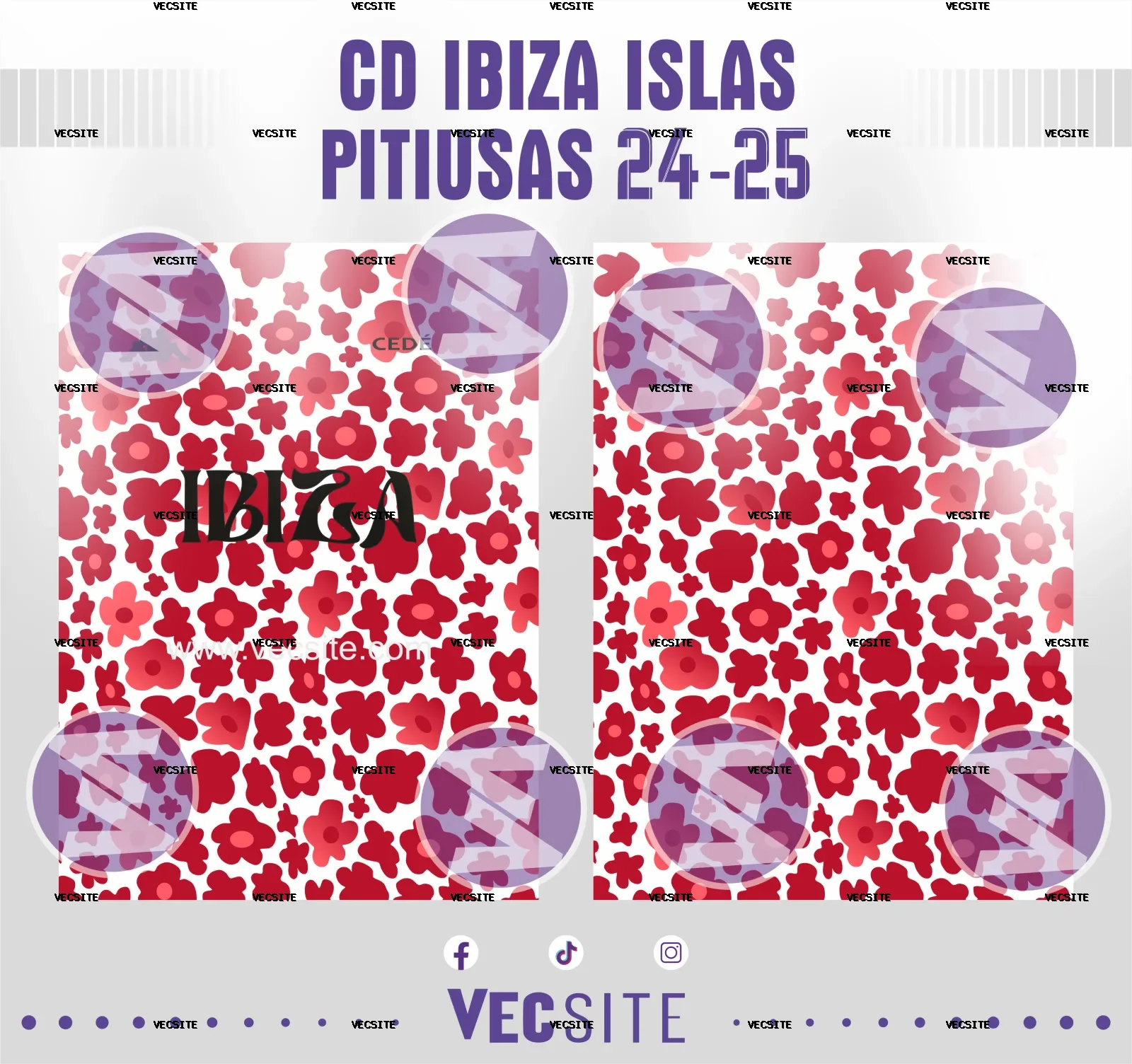 CD IBIZA ISLAS PITUSAS 24 25