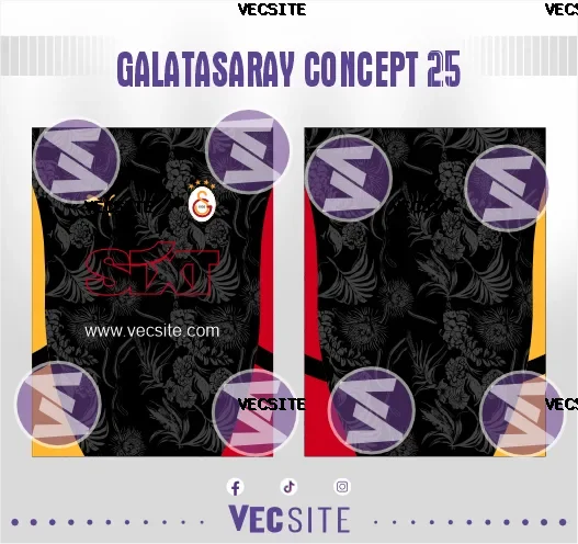 Galatasaray Concept 25