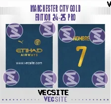 Manchester City Gold Edition 24-25 PRO