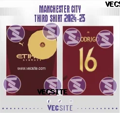 Manchester City Third Shirt 2024-25