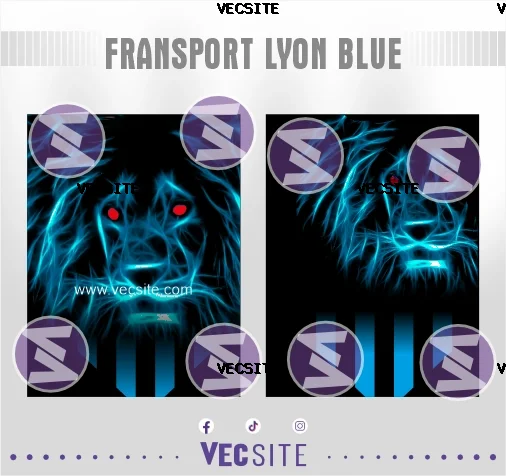 fransport lyon blue