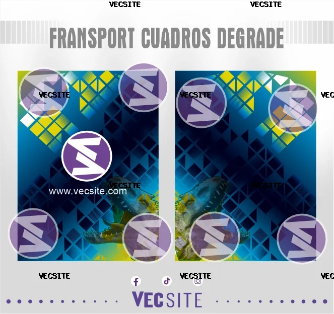 fransport cuadros degrade