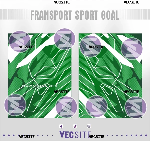 fransport sport goal