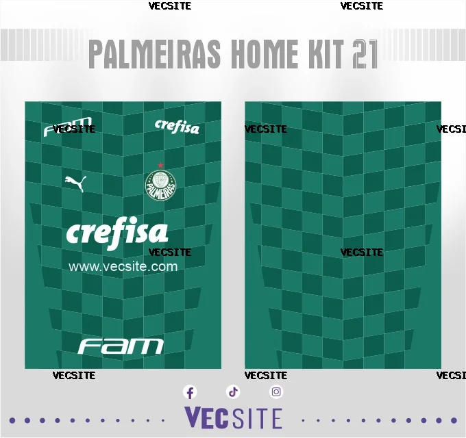 Palmeiras Home Kit 21