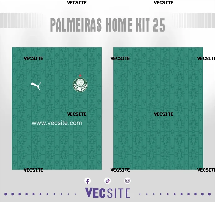 Palmeiras Home Kit 25