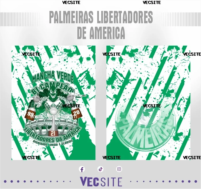 Palmeiras Libertadores de América