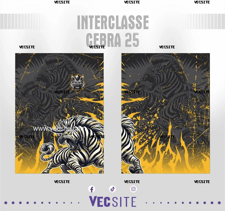 Interclasse Cebra 25
