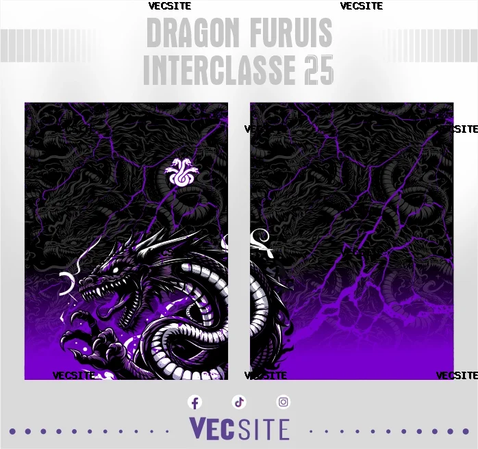 Dragon furuis Interclasse 25
