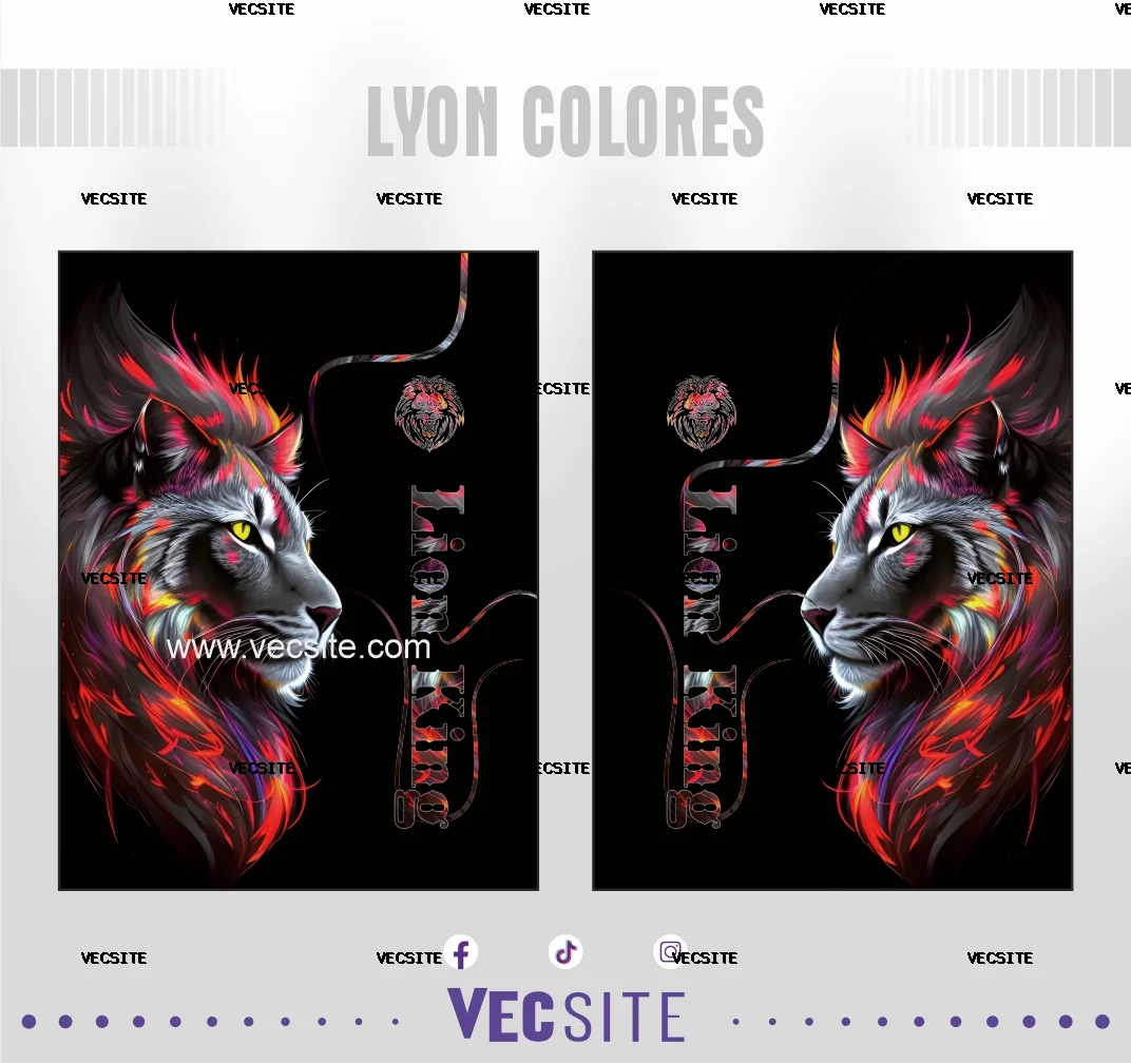 lyon colores vecsite
