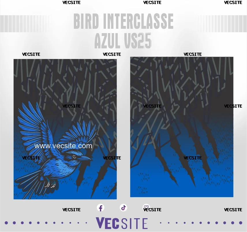 Bird Interclasse Azul VS25