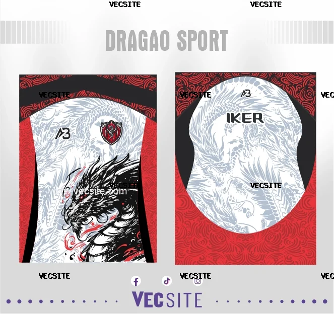 dragao sport