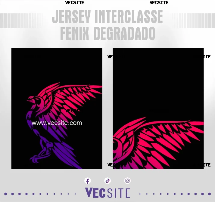 Jersey Interclasse Fenix Degradado