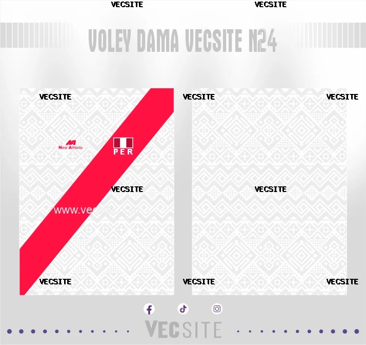VOLEY DAMA VECSITE N24