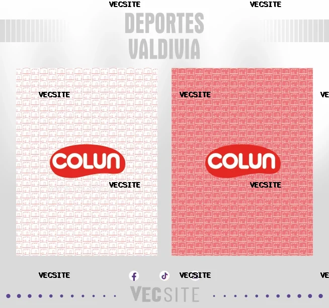 Deportes Valdivia