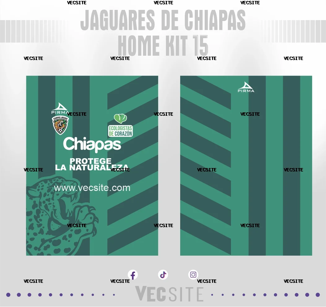 Jaguares de Chiapas home Kit 15