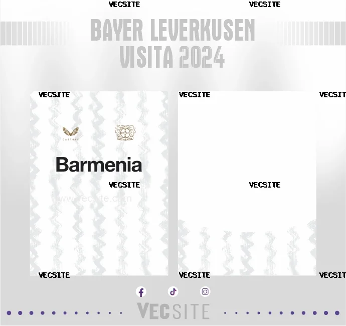 Bayer Leverkusen visita 2024