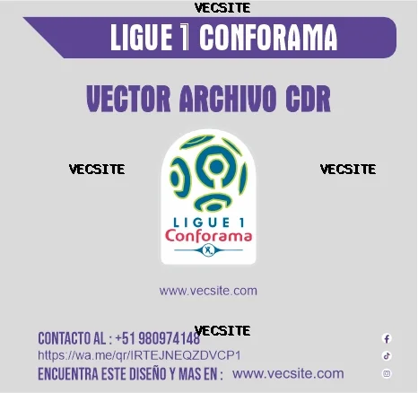 ligue 1 conforama