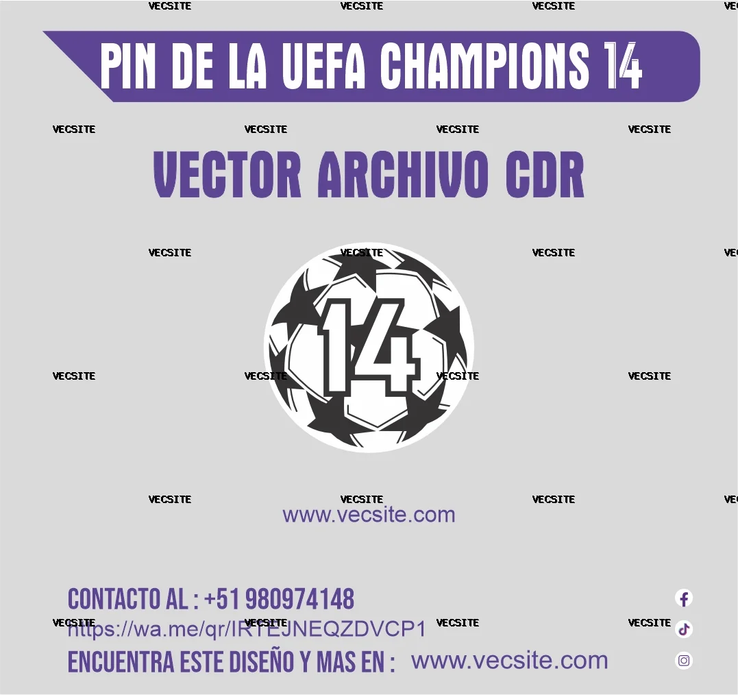 pin de la uefa champions 14