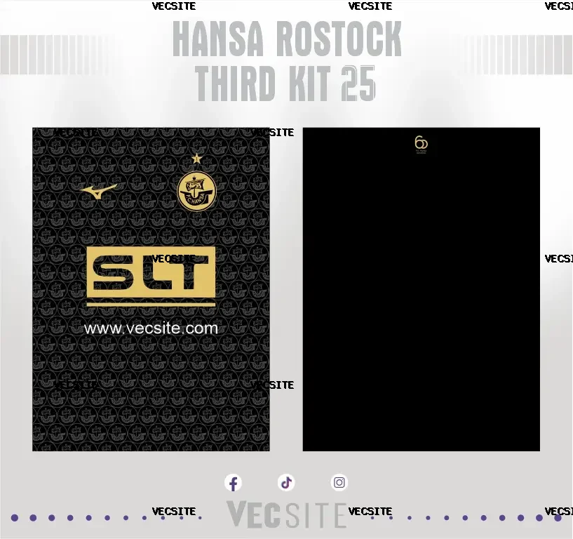 Hansa Rostock Third Kit 25