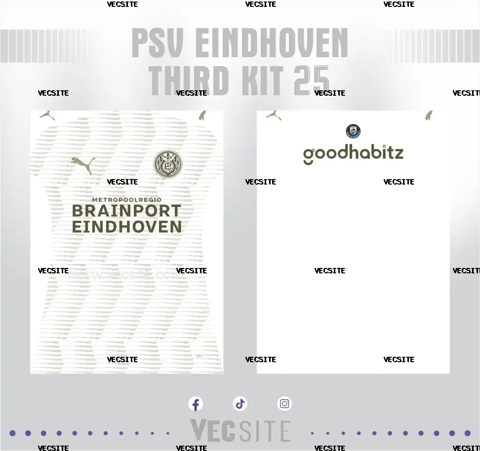 PSV Eindhoven Third Kit 25