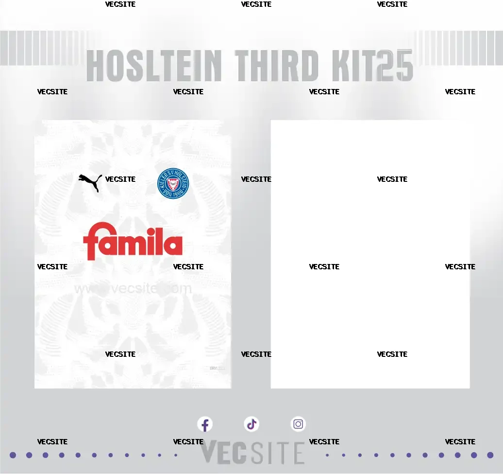 Hosltein Third Kit25