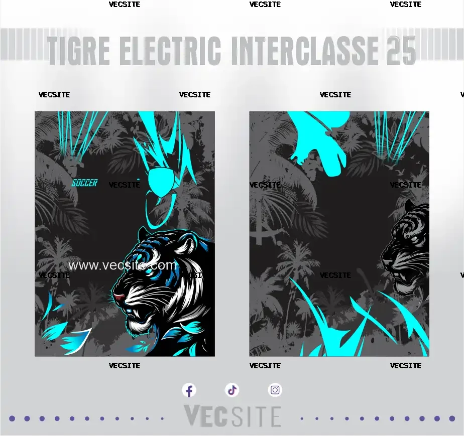 Tigre Electric Interclasse 25