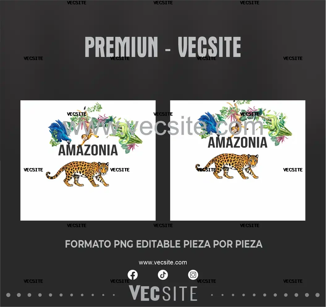 PREMIUN VECTOR