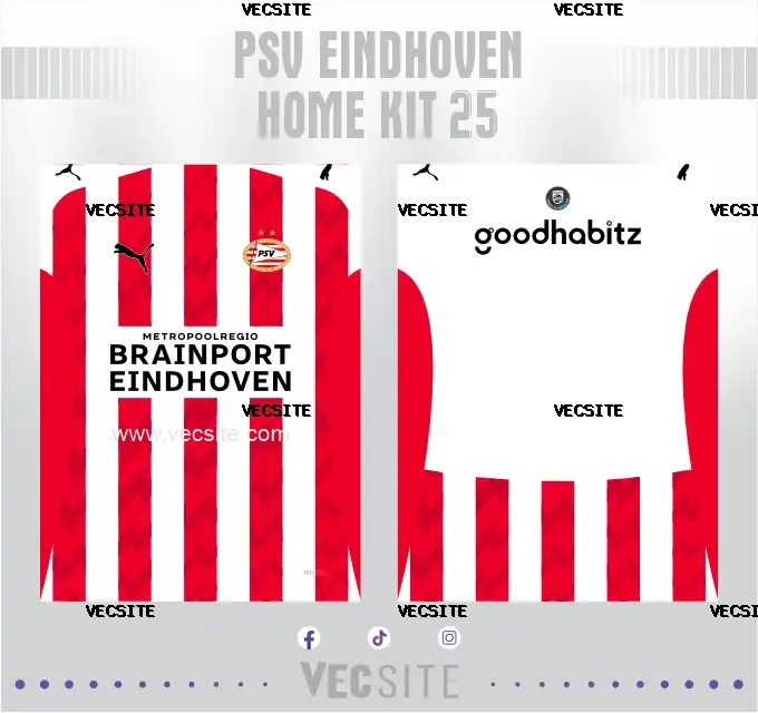 PSV Eindhoven Home Kit 25