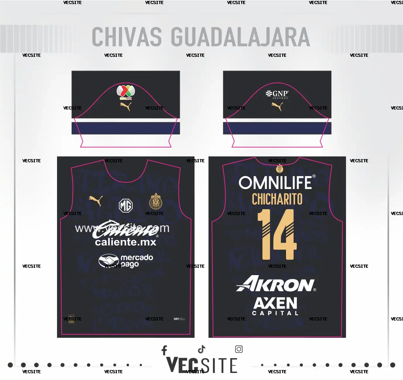 Club Deportivo Guadalajara