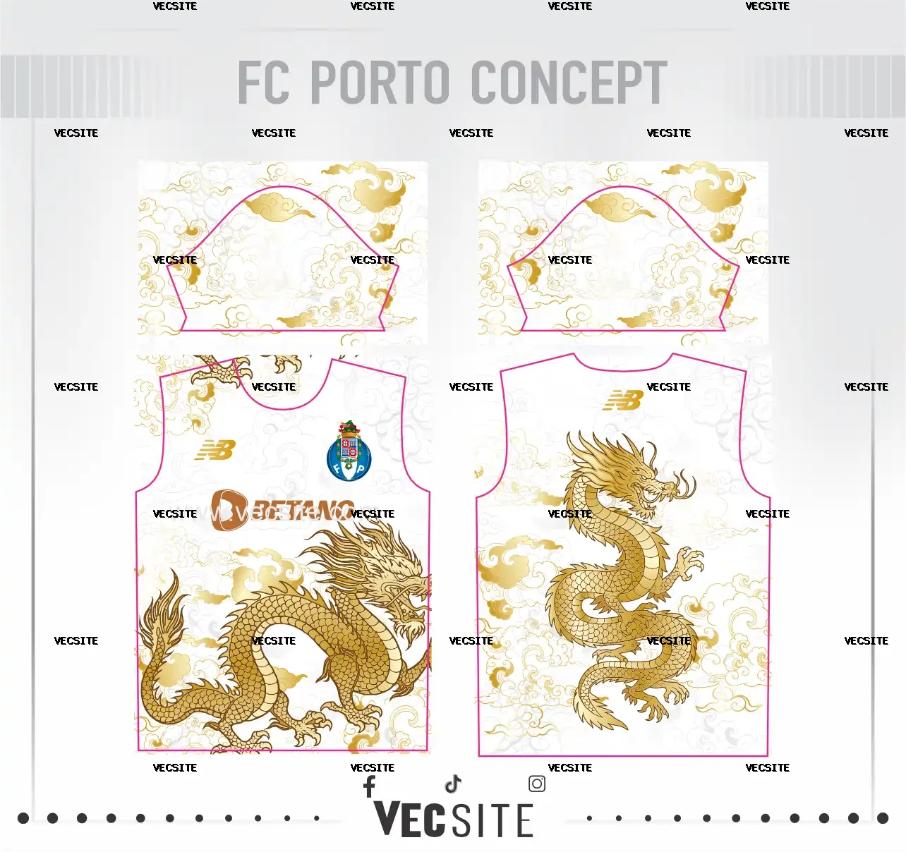 FC Porto Concept
